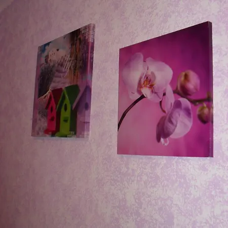 Bed & Breakfast Elclaca